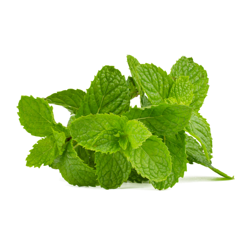 Minty Green Refresher